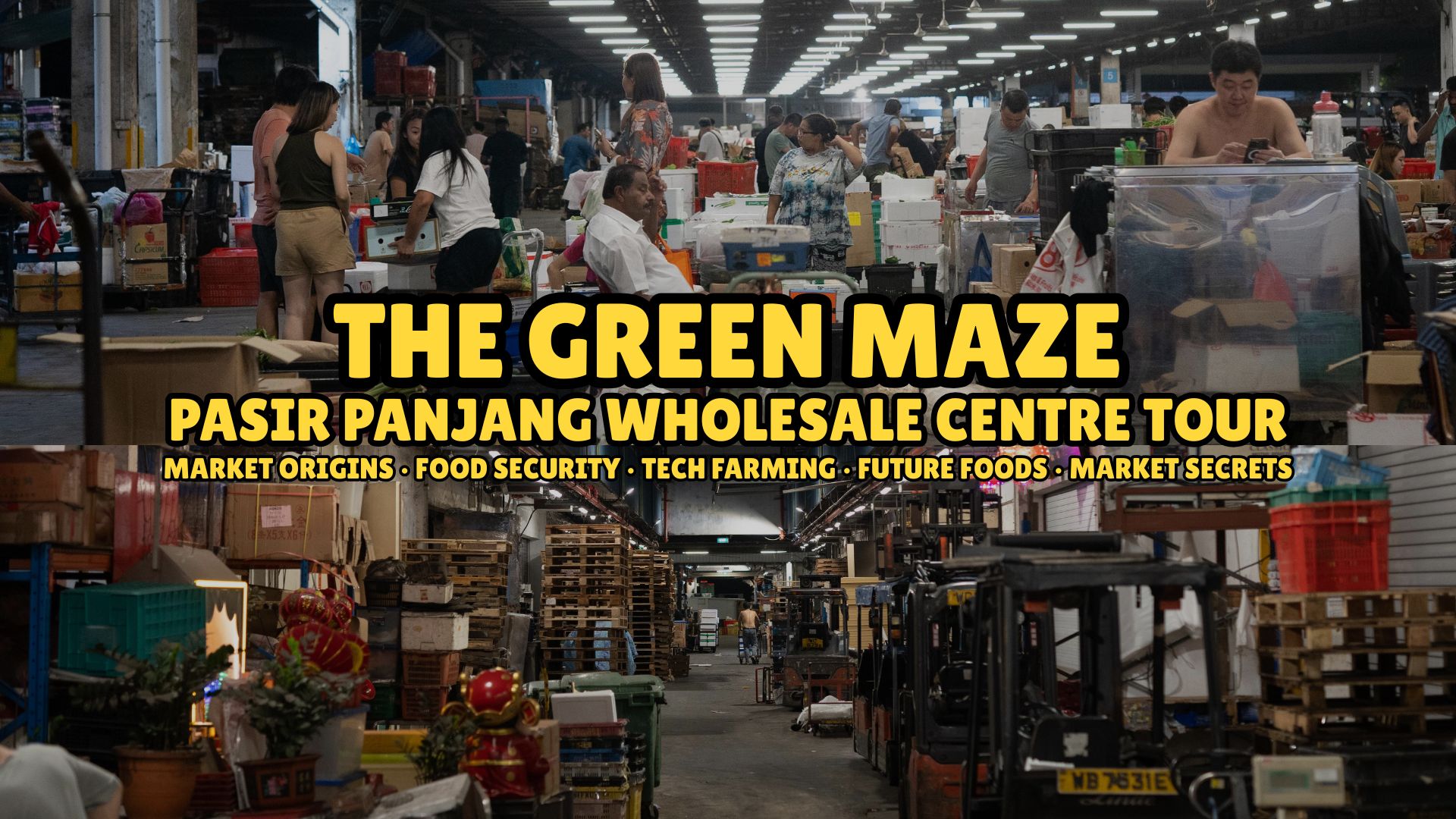 The Green Maze: Pasir Panjang Wholesale Centre Tour