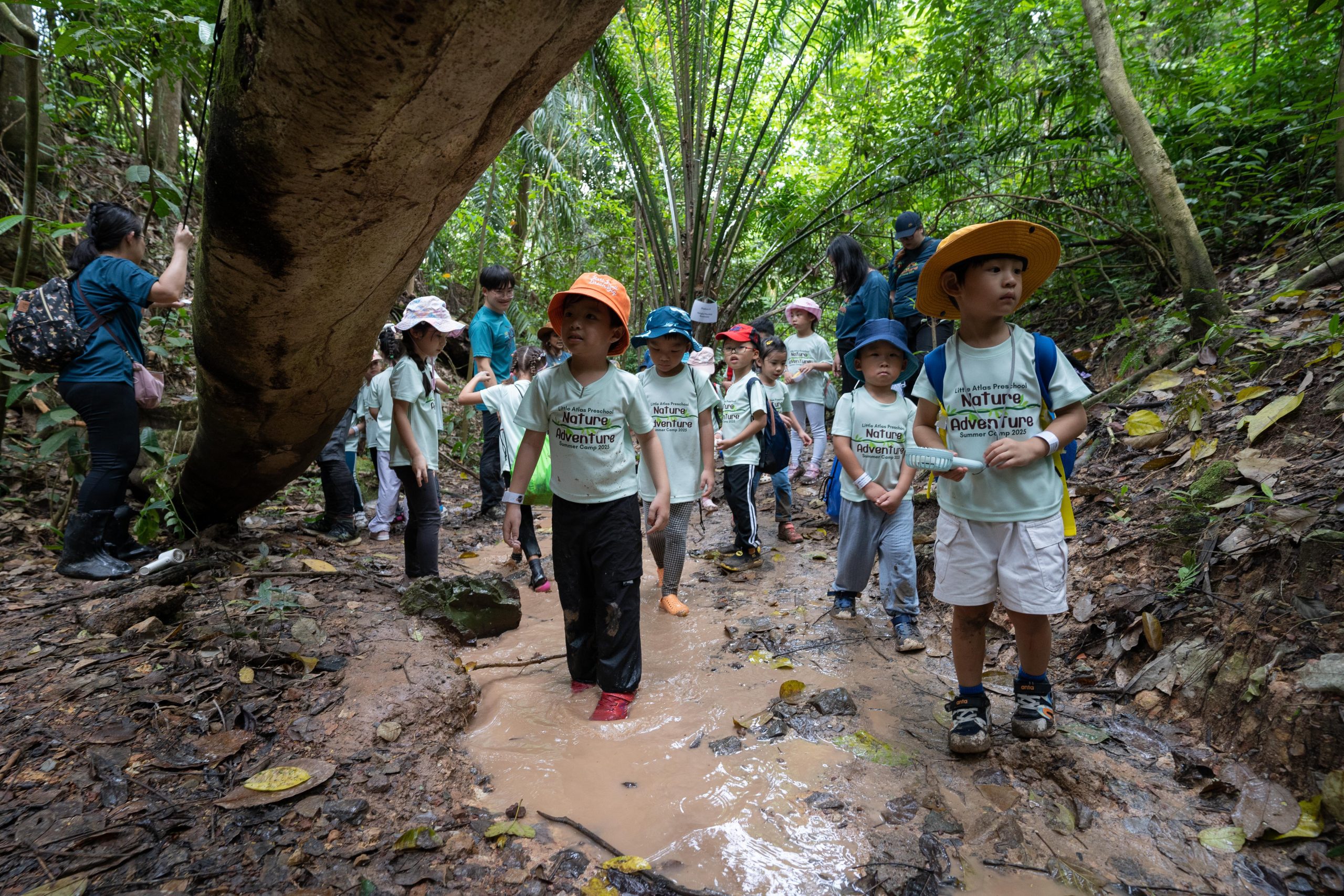 Maju Forest Confidence Adventure