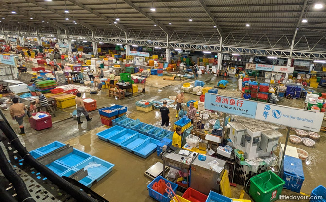 6 Highlights Of Jurong Fishery Port Tour By Hidden Heritage
