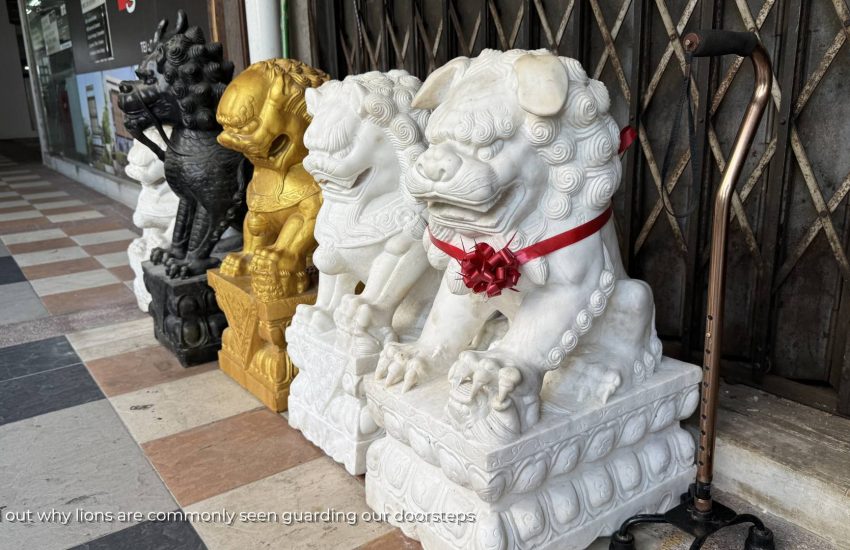 Learn why stone lions guard our doorsteps