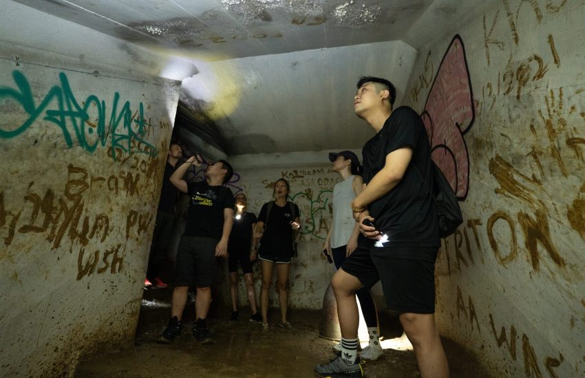 The Forest Labyrinth- Marsiling Tunnels