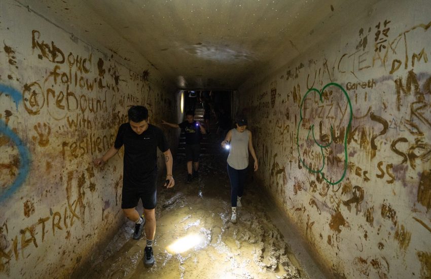 The Forest Labyrinth- Marsiling Tunnels