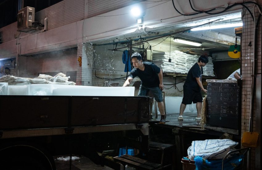 Fishy Business- Jurong Fishery Port Tour