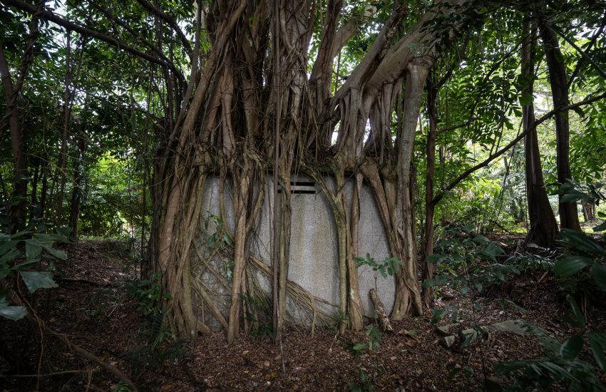 Battleships & Bunkers: Sembawang Heritage Tour