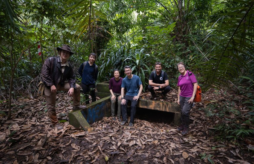 The Forest Labyrinth- Marsiling Tunnels