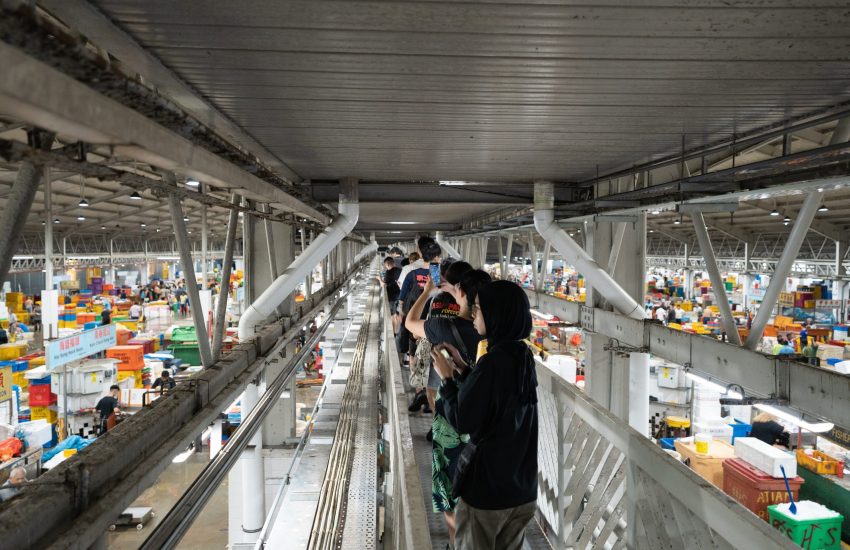Jurong Fishery Port Tour