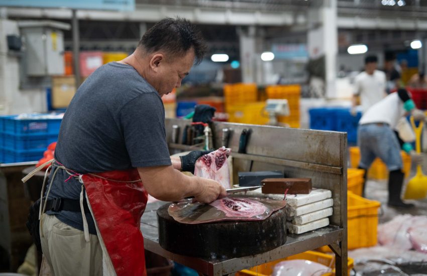 Jurong Fishery Port Tour